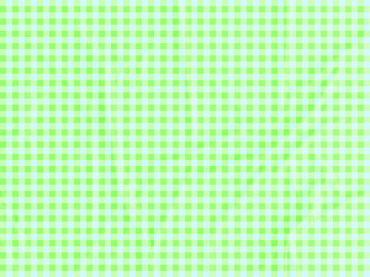 Tecido Vichy Verde e Azul - P533