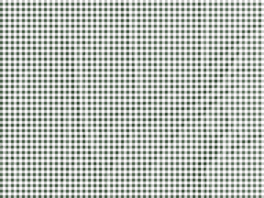Tecido Xadrez Verde -  W8